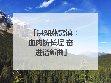 洪湖燕窝镇：血肉铸长堤 奋进谱新曲