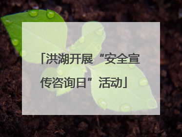 洪湖开展“安全宣传咨询日”活动