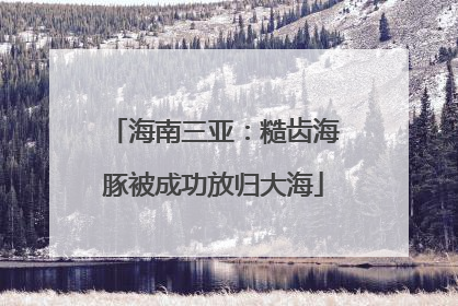 海南三亚：糙齿海豚被成功放归大海