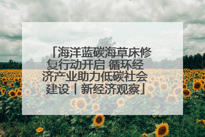 海洋蓝碳海草床修复行动开启 循环经济产业助力低碳社会建设丨新经济观察
