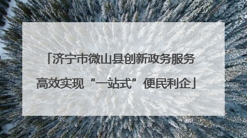 济宁市微山县创新政务服务 高效实现“一站式”便民利企