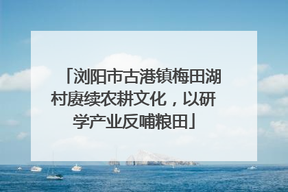 浏阳市古港镇梅田湖村赓续农耕文化，以研学产业反哺粮田
