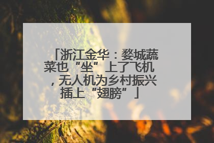 浙江金华：婺城蔬菜也“坐”上了飞机，无人机为乡村振兴插上“翅膀”