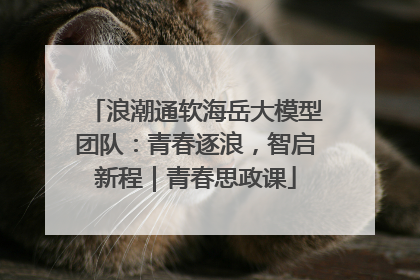 浪潮通软海岳大模型团队：青春逐浪，智启新程｜青春思政课