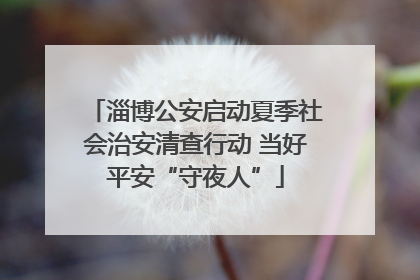 淄博公安启动夏季社会治安清查行动 当好平安“守夜人”