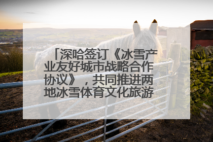 深哈签订《冰雪产业友好城市战略合作协议》，共同推进两地冰雪体育文化旅游高质量发展