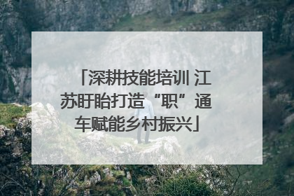 深耕技能培训 江苏盱眙打造“职”通车赋能乡村振兴