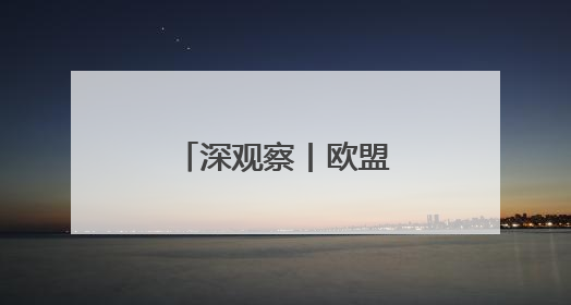 深观察丨欧盟：我们不怕与美国打关税战