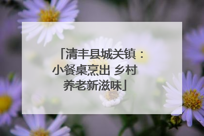清丰县城关镇：小餐桌烹出 乡村养老新滋味