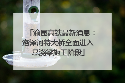 渝昆高铁最新消息：洛泽河特大桥全面进入悬浇梁施工阶段