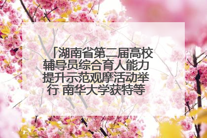 湖南省第二届高校辅导员综合育人能力提升示范观摩活动举行 南华大学获特等奖和一等奖