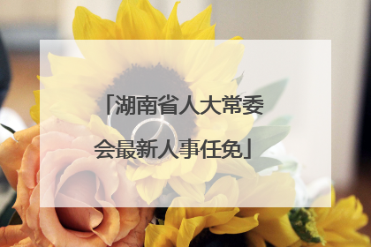 湖南省人大常委会最新人事任免