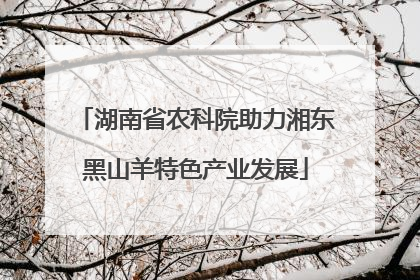 湖南省农科院助力湘东黑山羊特色产业发展