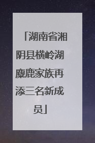 湖南省湘阴县横岭湖麋鹿家族再添三名新成员