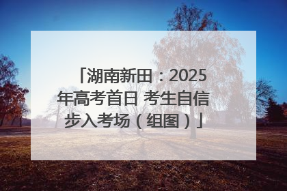 湖南新田：2025年高考首日 考生自信步入考场（组图）