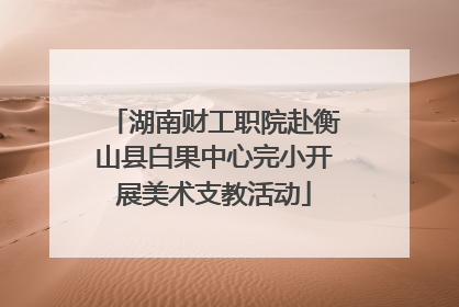 湖南财工职院赴衡山县白果中心完小开展美术支教活动