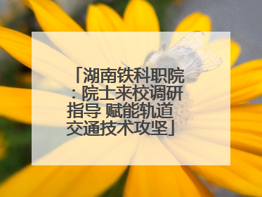 湖南铁科职院：院士来校调研指导 赋能轨道交通技术攻坚