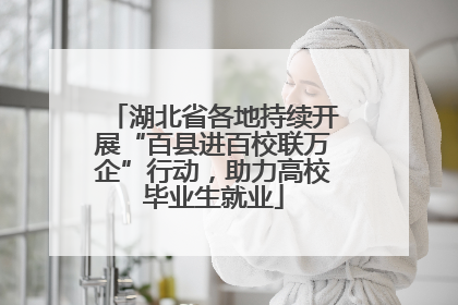 湖北省各地持续开展“百县进百校联万企”行动，助力高校毕业生就业