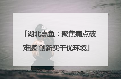 湖北嘉鱼：聚焦痛点破难题 创新实干优环境