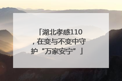 湖北孝感110，在变与不变中守护“万家安宁”