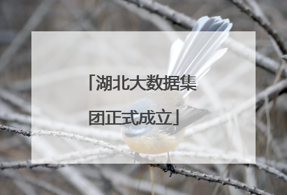 湖北大数据集团正式成立