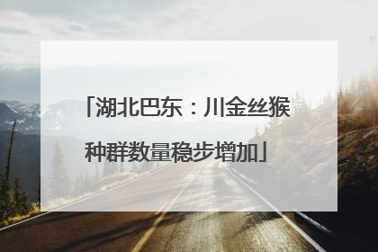 湖北巴东：川金丝猴种群数量稳步增加