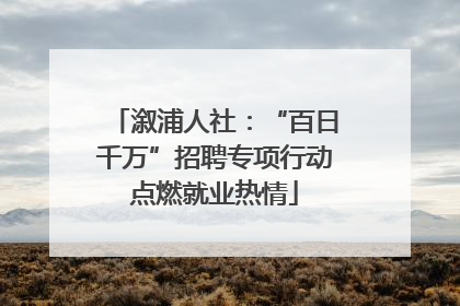 溆浦人社：“百日千万”招聘专项行动点燃就业热情