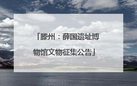 滕州：薛国遗址博物馆文物征集公告