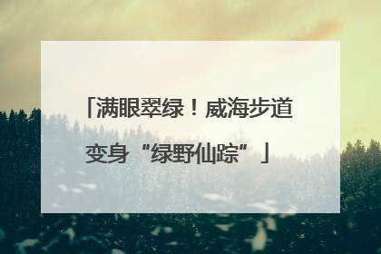 满眼翠绿！威海步道变身“绿野仙踪”