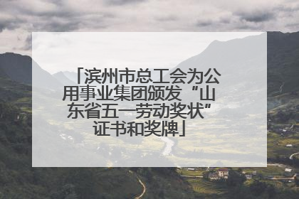 滨州市总工会为公用事业集团颁发“山东省五一劳动奖状”证书和奖牌