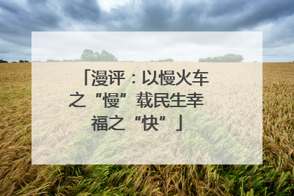 漫评：以慢火车之“慢”载民生幸福之“快”