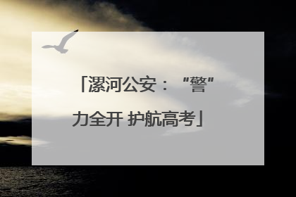 漯河公安：“警”力全开 护航高考