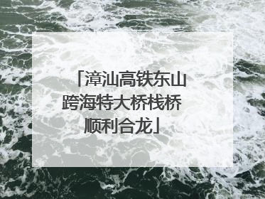 漳汕高铁东山跨海特大桥栈桥顺利合龙