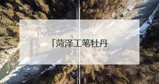 菏泽工笔牡丹小品远销海外