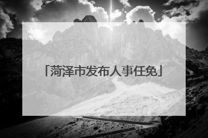 菏泽市发布人事任免