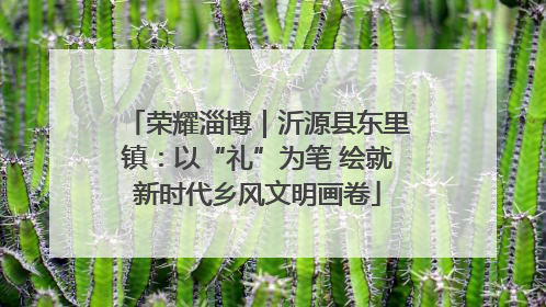 荣耀淄博｜沂源县东里镇：以“礼”为笔 绘就新时代乡风文明画卷