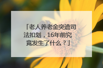 老人养老金突遭司法扣划，16年前究竟发生了什么？