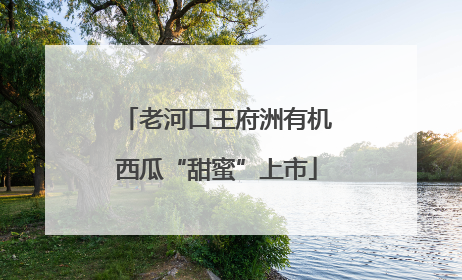 老河口王府洲有机西瓜“甜蜜”上市