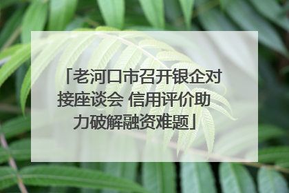 老河口市召开银企对接座谈会 信用评价助力破解融资难题