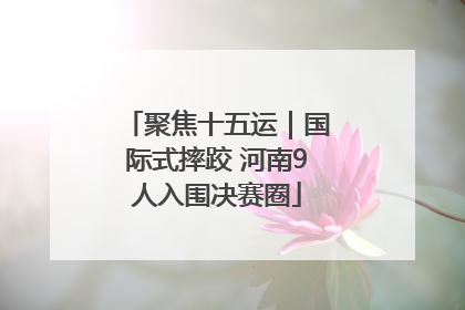 聚焦十五运｜国际式摔跤 河南9人入围决赛圈