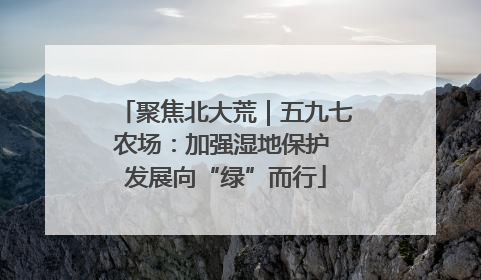 聚焦北大荒｜五九七农场：加强湿地保护 发展向“绿”而行