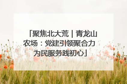聚焦北大荒｜青龙山农场：党建引领聚合力 为民服务践初心