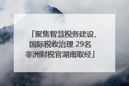聚焦智慧税务建设、国际税收治理 29名非洲财税官湖南取经