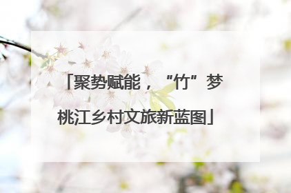聚势赋能，“竹”梦桃江乡村文旅新蓝图