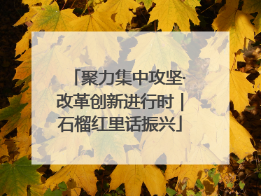 聚力集中攻坚·改革创新进行时｜石榴红里话振兴