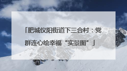 肥城仪阳街道下三合村：党群连心绘幸福“实景图”