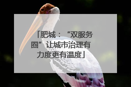 肥城：“双服务圈”让城市治理有力度更有温度