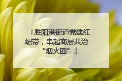胜阳港街道党建红纽带，串起商居共治 “烟火圈”