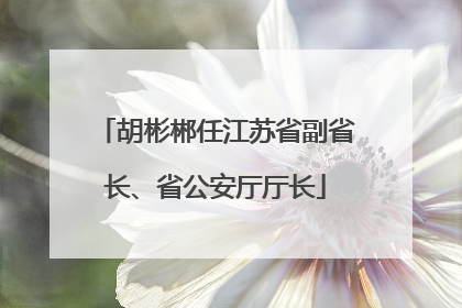 胡彬郴任江苏省副省长、省公安厅厅长