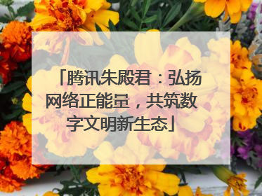 腾讯朱殿君：弘扬网络正能量，共筑数字文明新生态